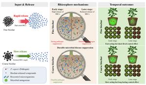 Particle size influences biochar-mediated control of pepper Phytophthora blight: linking released compounds to soil microbial disease suppression