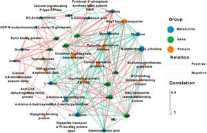 Fig. 5. Integrated multi-omics correlation network.