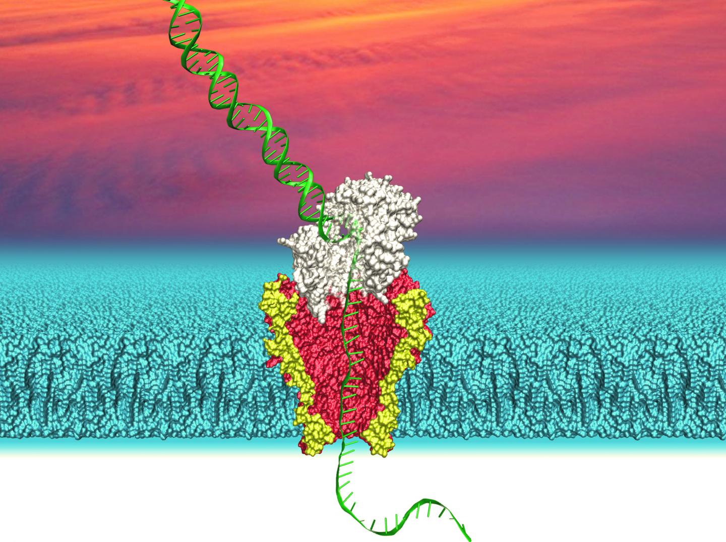 Nanopore Technology