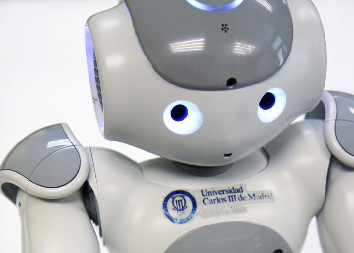 Developing a Robotic Therapist for Children