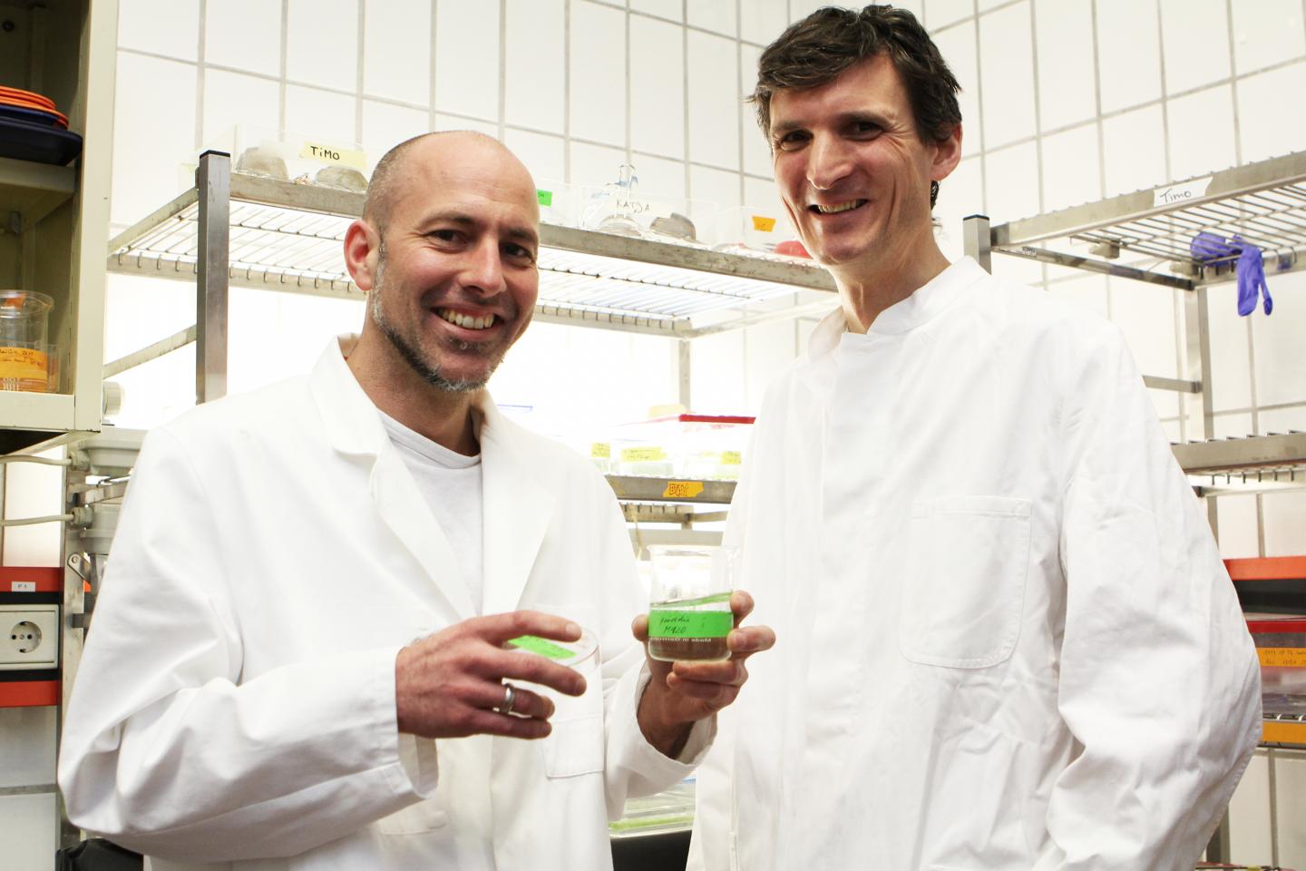 Dr. Tim Lachnit and Dr. Peter Deines, CRC 1182 Researchers