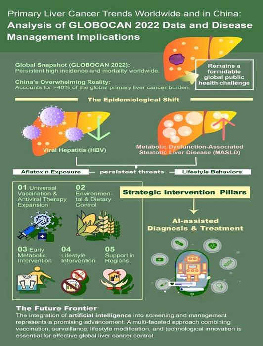 Global Shift in Liver Cancer Risk and Prevention Strategies