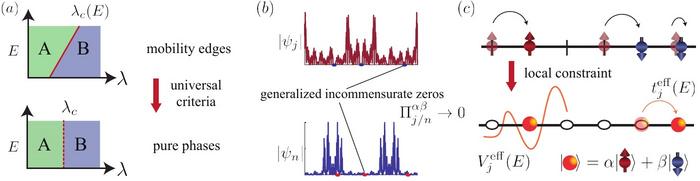 Universal results in a spinful quasiperiodic chain