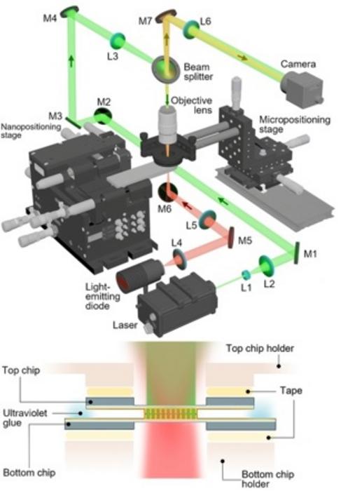 Fig. 1. System schematic (top) and chip-holding configuration (bottom) for double-illumination all-optical nanoalignment (DIANA)