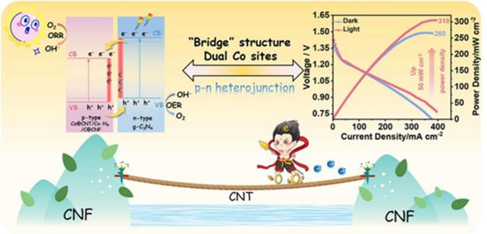 Light-activated p–n heterojunction with dual cobalt sites enhances zinc–air battery performance