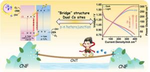 Light-activated p–n heterojunction with dual cobalt sites enhances zinc–air battery performance