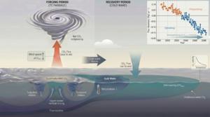 Tropical cyclones and the ocean carbon budget