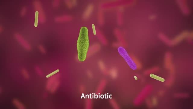 Probiotics Evolving