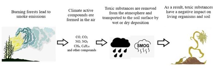 Impact of gaseous smoke pollutants from modelled fires on air and soil quality