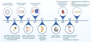 Iconic events of organoids development
