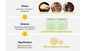 The Sense-Science-Significance model