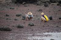 Women Gleaning