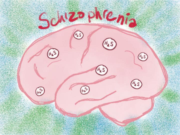 MPST and Hydrogen Sulphide Levels Are High in Schizophrenia