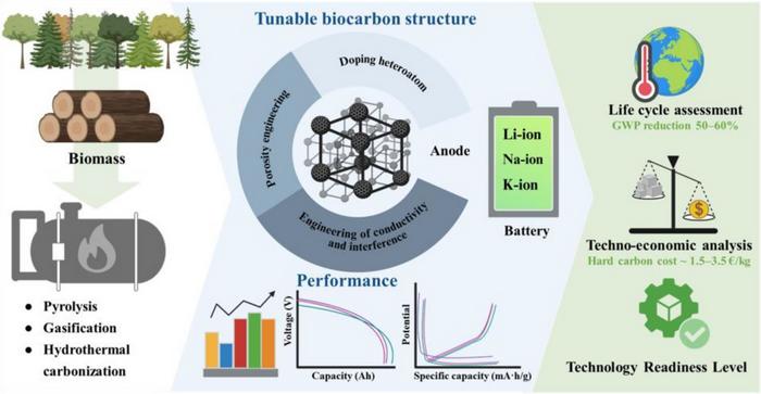 Biomass-Derived Carbon Offers a Route to More Sustainable Rechargeable Batteries