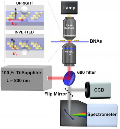 Experimental Setup