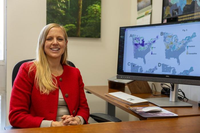 Carrie Fearer shows models of the endangered butternut tree on her computer.