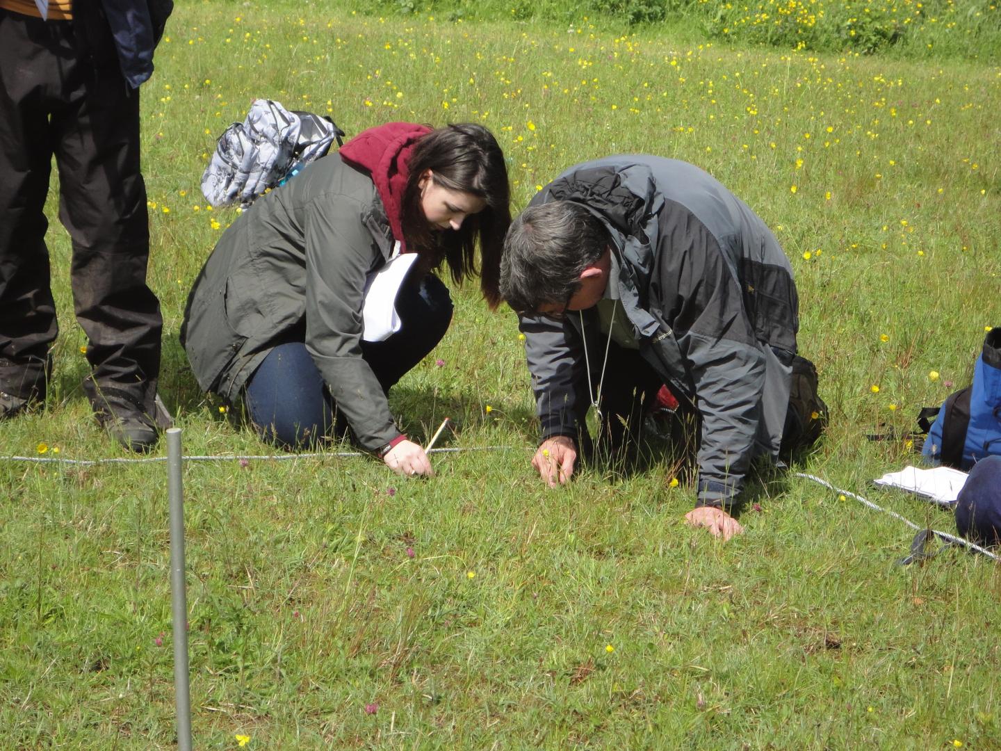 Monitoring and Recording Plant Species