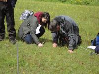 Monitoring and Recording Plant Species