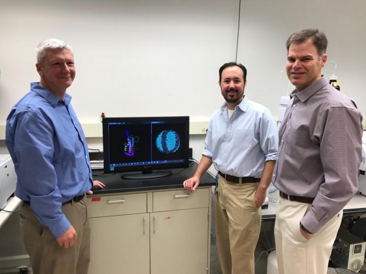 Tom Thompson, PhD, Ryan Walker and Sean Davidson, PhD, University of Cincinnati Academic Health Cent