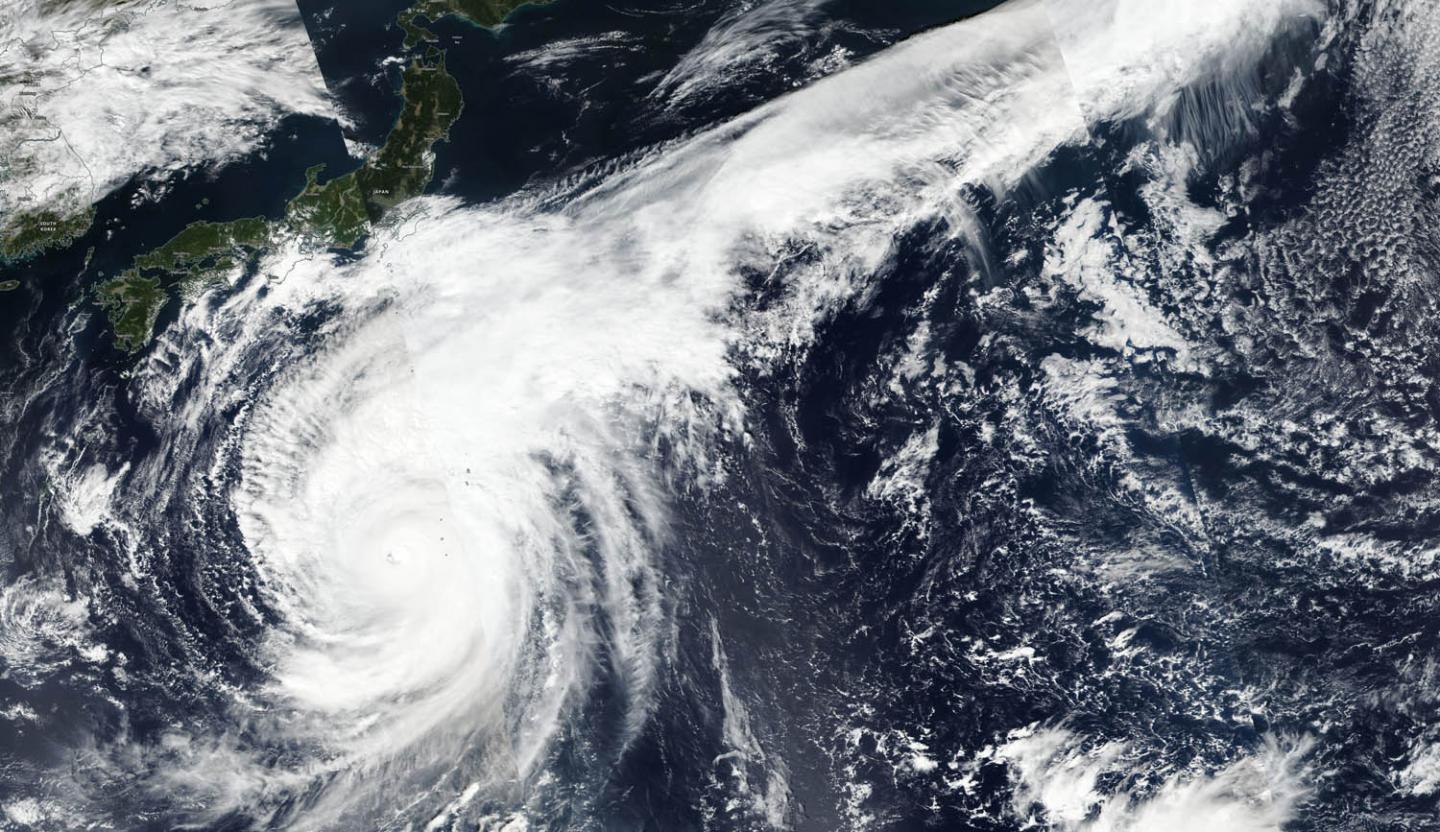 Satellite image of Hagibis