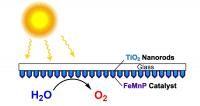 Anode 1
