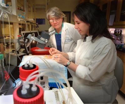 Drs. Jennifer Pollock and Analia S. Loria, Medical College of Georgia (1 of 2)