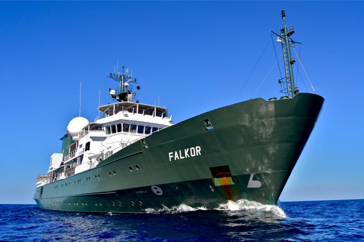 R/V Falkor