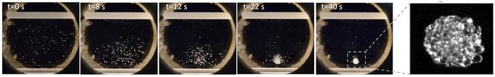 The Process of 3D Self-Assembly in the 'Magnetic Well'