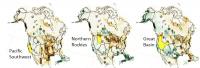 Vegetation Effects