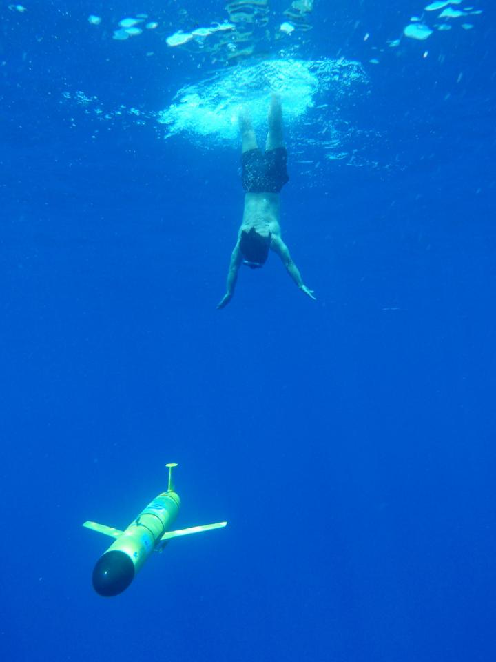 Glider and Diver
