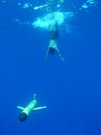 Glider and Diver