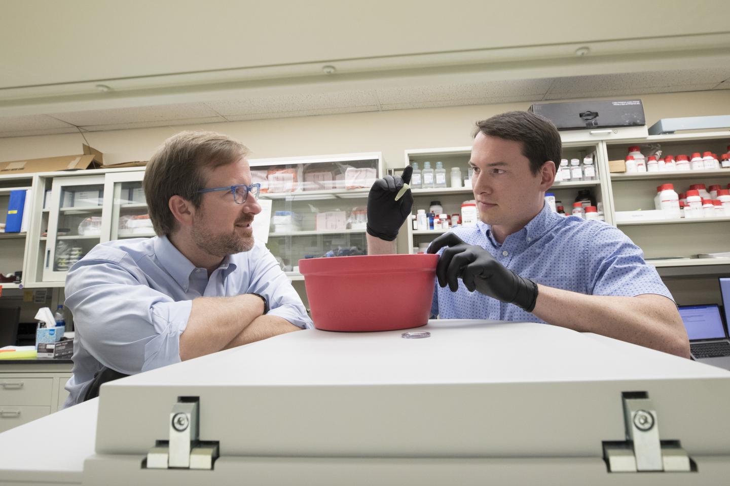 Researchers