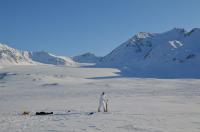Snow Samples