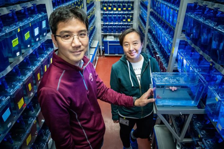 Genetic Researchers