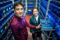 Genetic Researchers