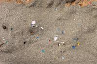 Plastic Beach