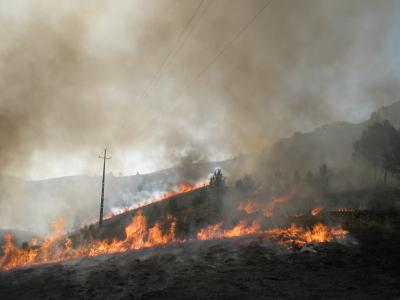 Experimental Burn in Portugal
