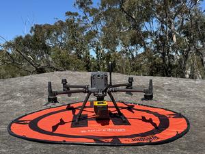 Drone closeup