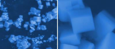 SEM Picture of Hexaborides