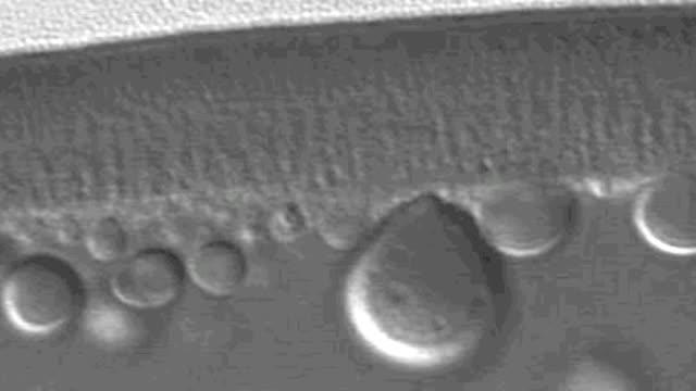 Proteins in Motion
