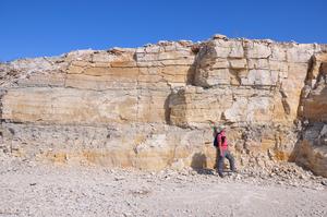 USask assistant professor Colin Sproat stands by a wall of a quarry north of The Pas, Man., one of the sites where the researchers found evidence of an ancient tsunami.