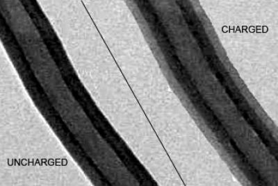 A Swell Electrode