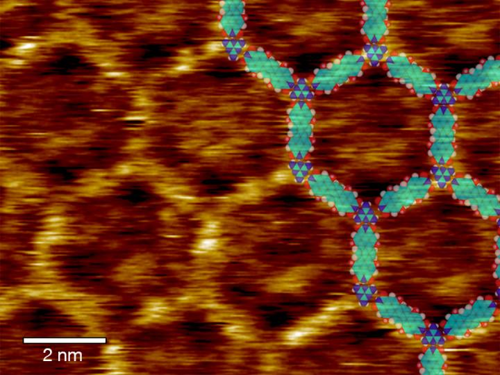 MonoLayerSolarCell