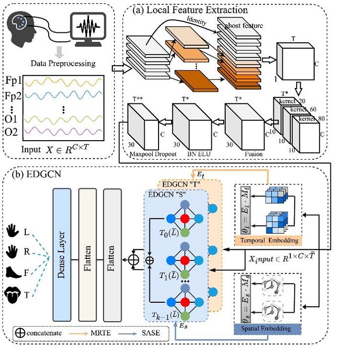 Novel Embedding-Driven Graph Convolutional Network for Decoding Spatiotemporal Variations in Brain Signals