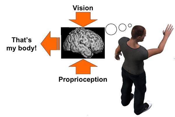 What and Where in the Processing of Body-Part Information (1 of 2)