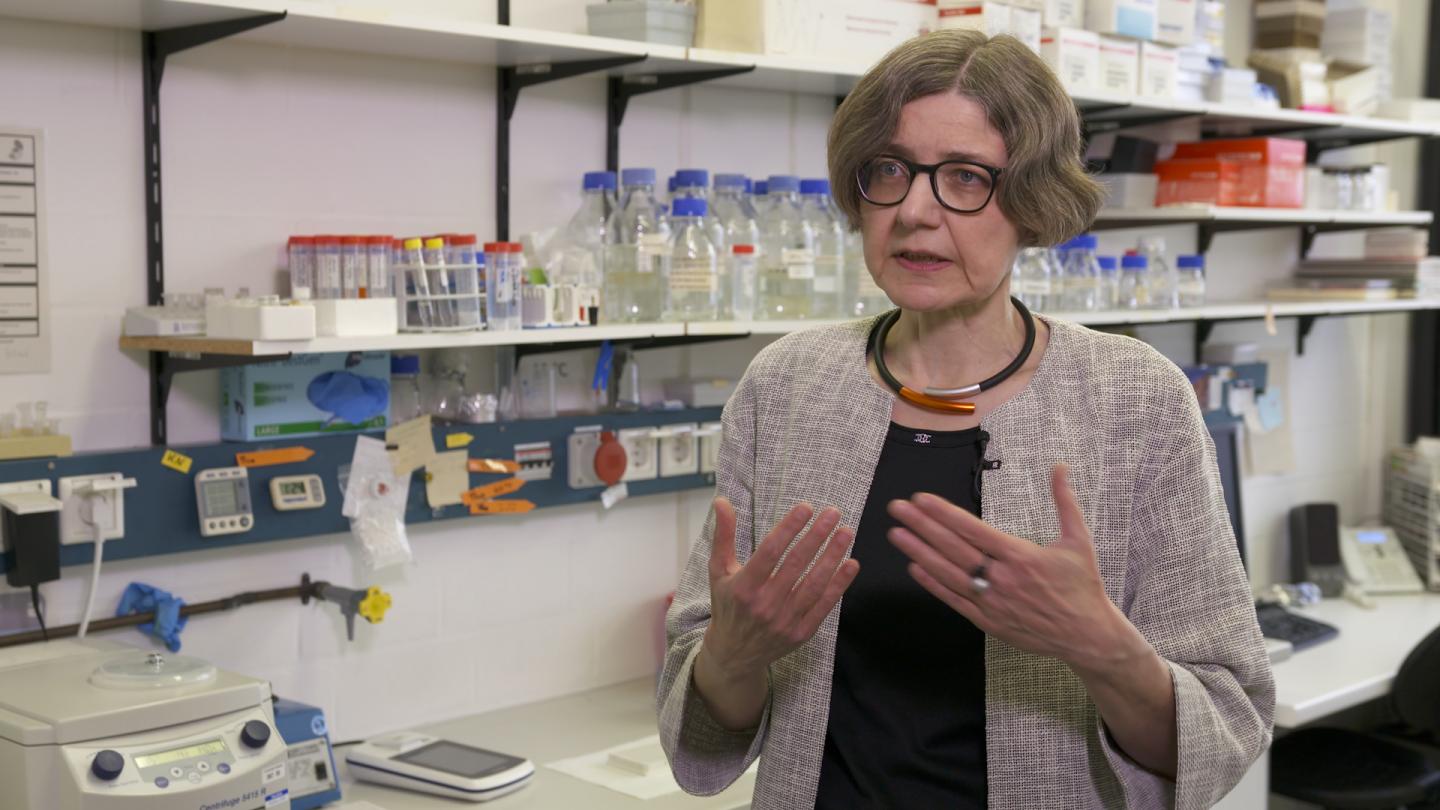 Professor Dr. Dorothee Staiger