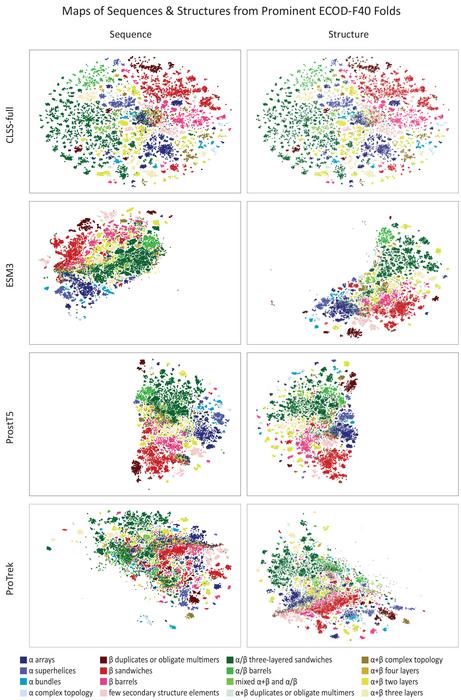A unified representation of proteins