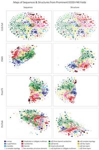 A unified representation of proteins