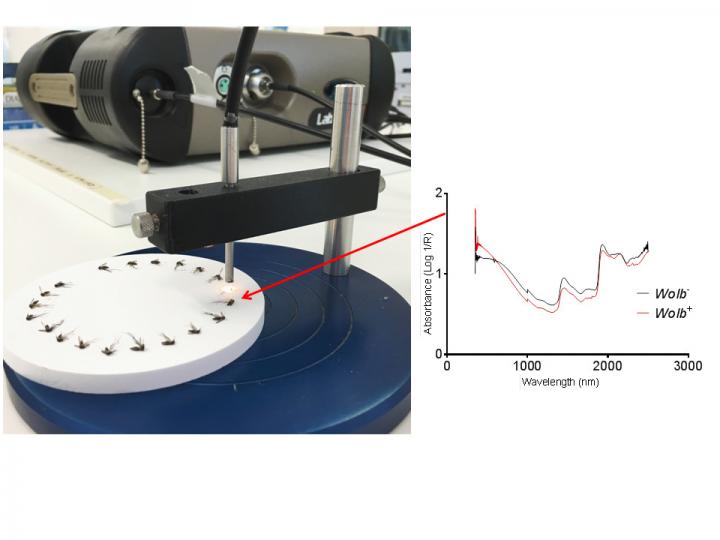 Quick and Non-Destructive Scanning