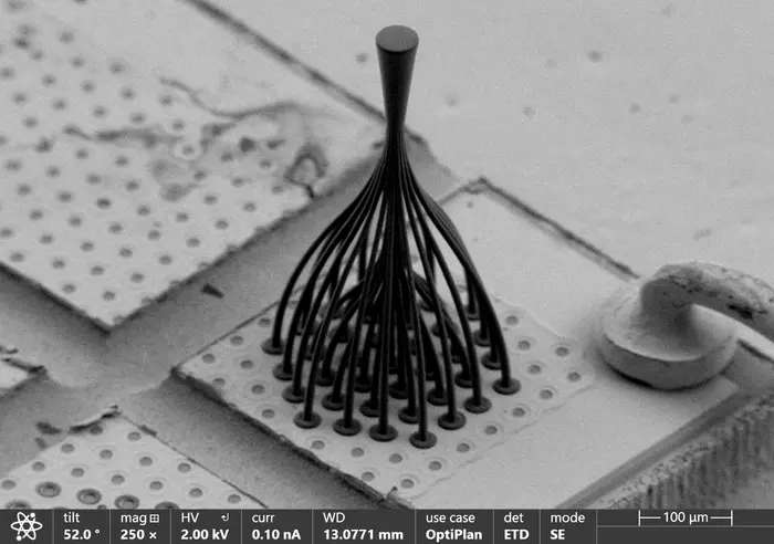 Scanning electron micrograph (SEM) of 37 input MM-PL